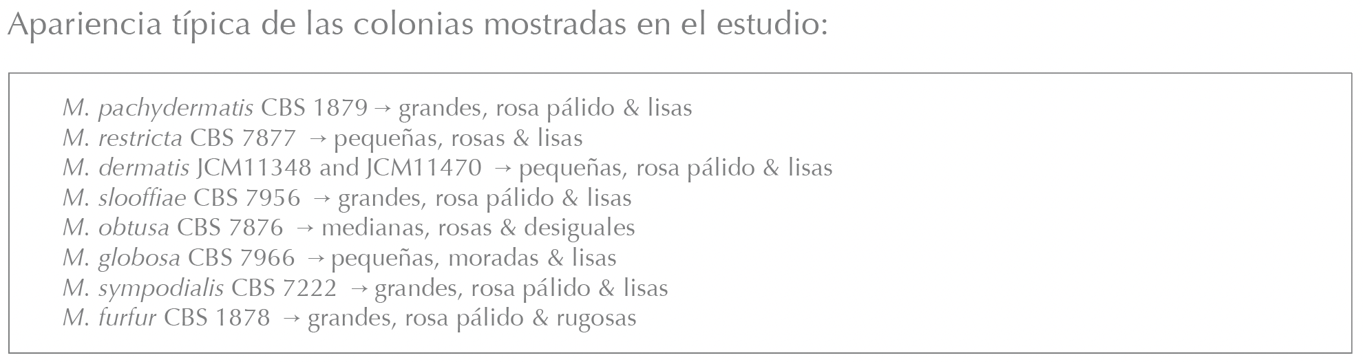 Apparence Es